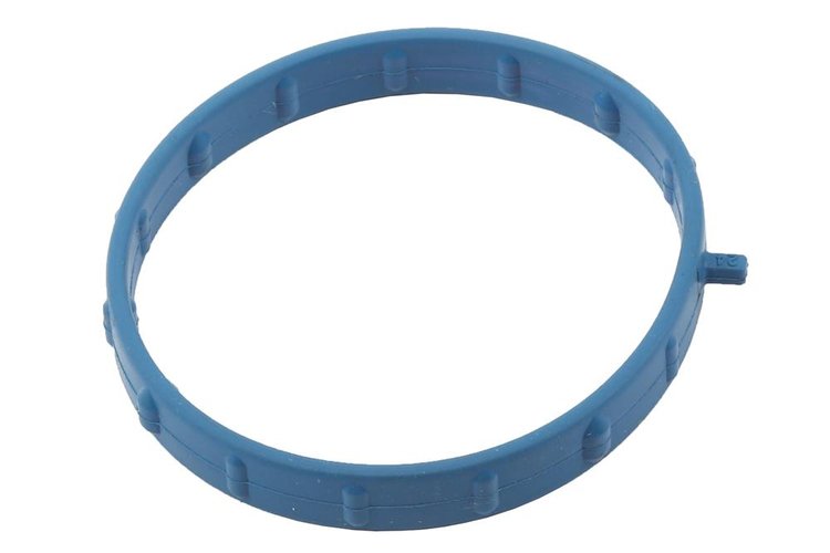 GASKET-EGR PIPE (SLP-1)