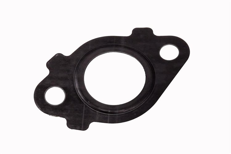 GASKET-EGR PIPE (SLP-1)
