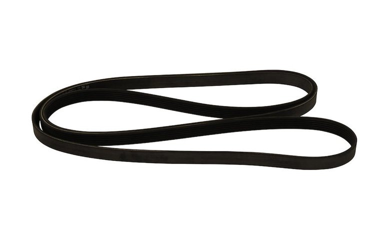 V-Ribbed Serpen (SLP-P1)