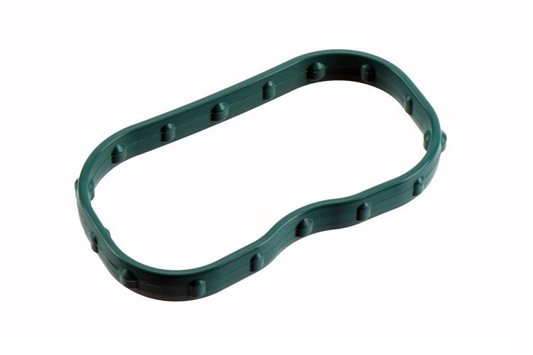 SEAL-INT MANIF (SLP-1)