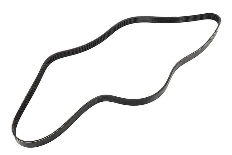 V-Ribbed Serpen (SLP-P1)