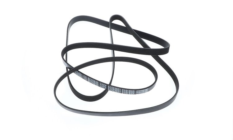 BELT-FAN & W/PM (SLP-P1)