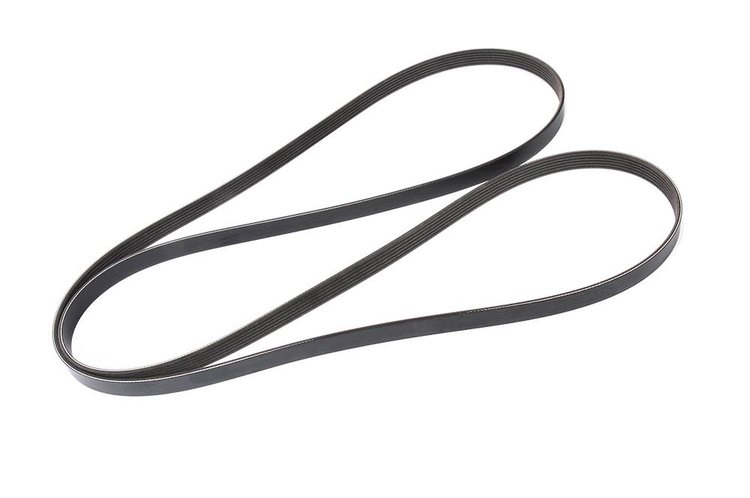 V-Ribbed Serpen (SLP-P1)