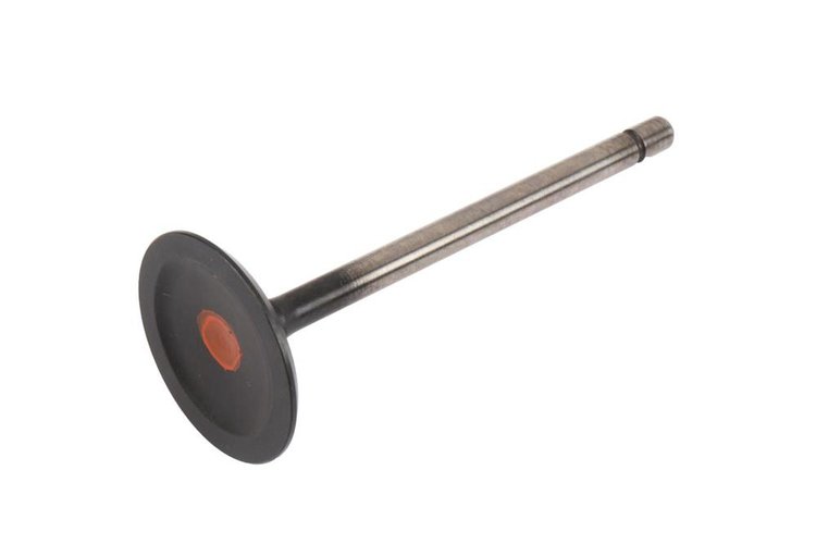 VALVE-INT (SLP-1)