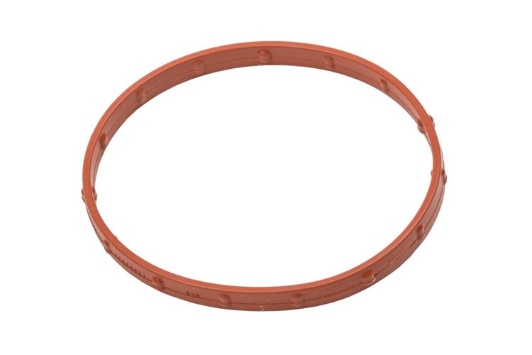 SEAL-THROT BODY (SLP-1)