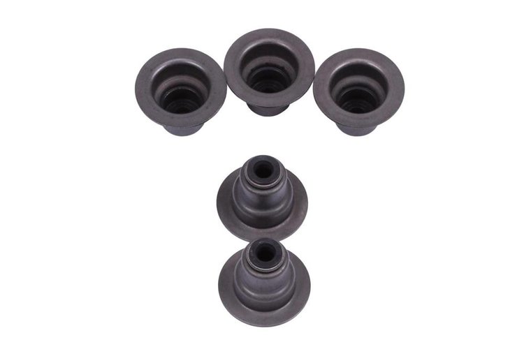 SEAL-VLV STEM O (SLP-1)