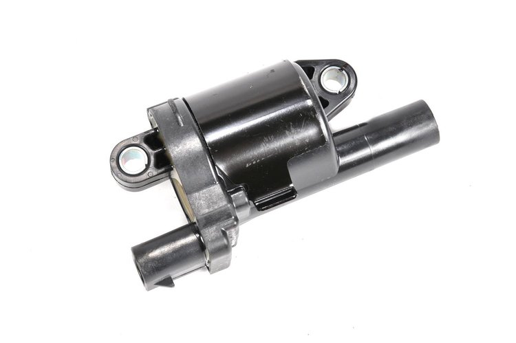 COIL ASM IGN
