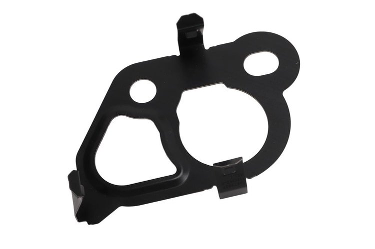 GASKET-TMG CHAI (SLP-P1)