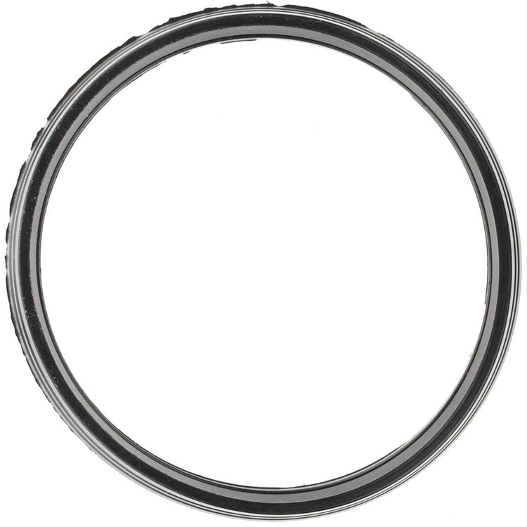 Thermostat Seal