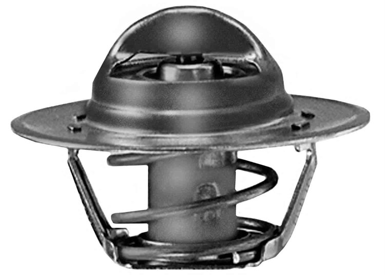 THERMOSTAT ASM ENG COOL