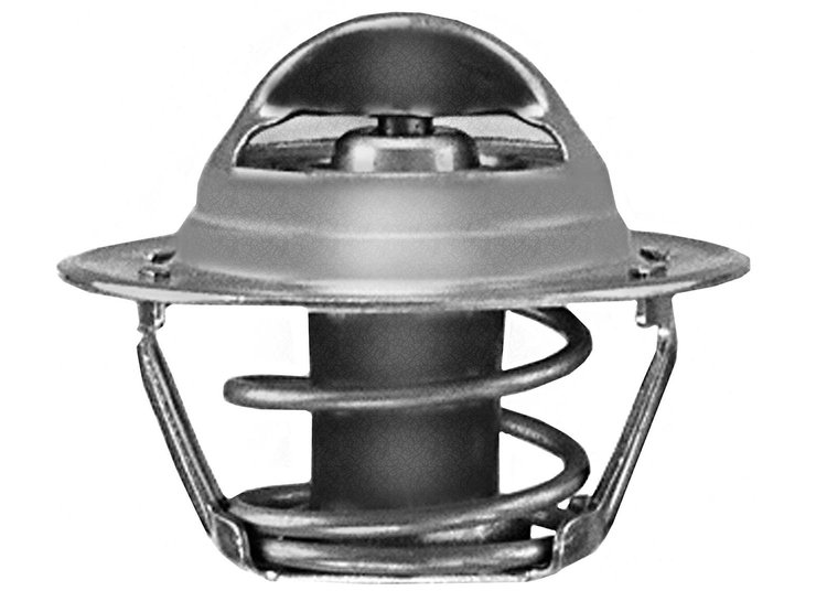 THERMOSTAT ASM ENG COOL