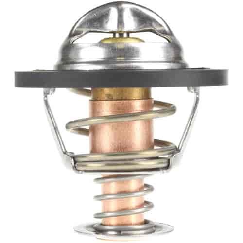 THERMOSTAT ASM ENG COOL W