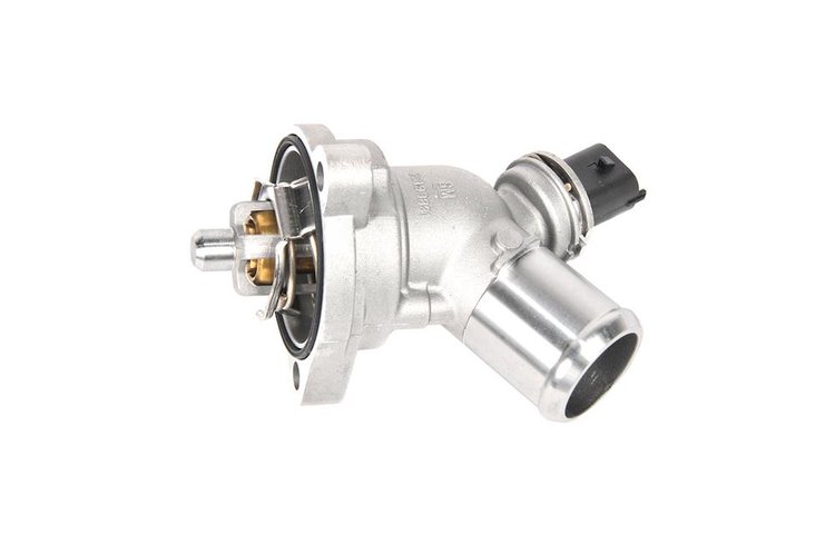 THERMOSTAT ASM, (SLP)