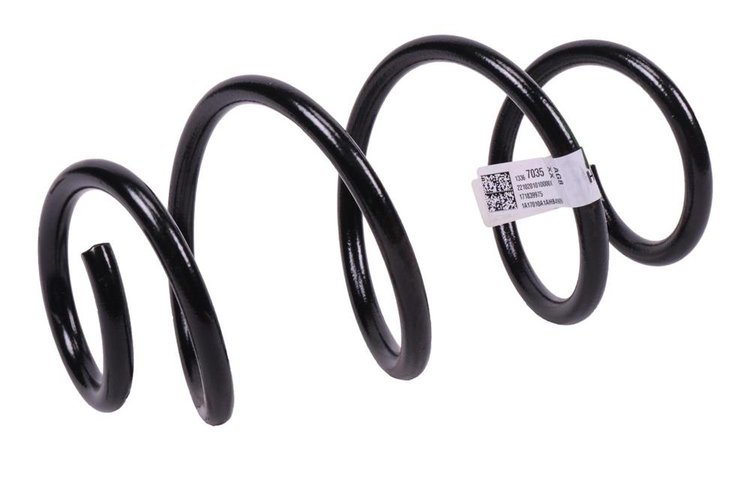 SPRING-FRT COIL (B)