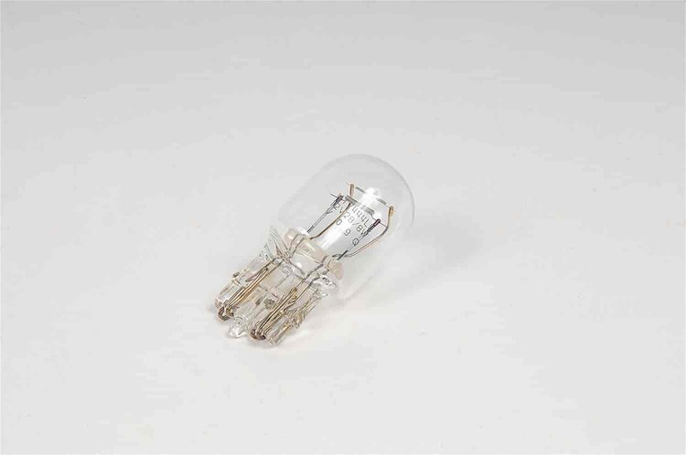 BULB ASM-HDLP