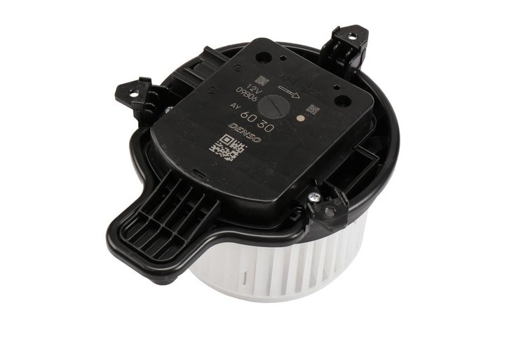 MOTOR ASM-BLO (SLP)
