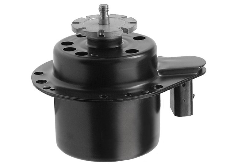 FAN MOTOR
