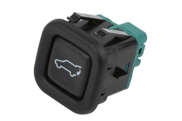 SWITCH ASM-L/GA (SLP-P1)