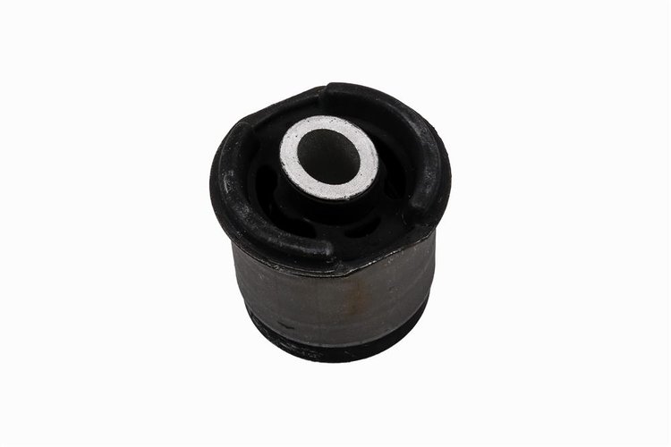 BUSHING ASM-DIF (SLP-1)