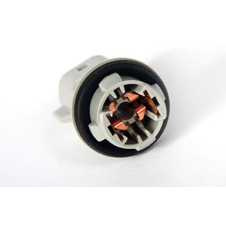 SOCKET ASM RR LIC PLT LP
