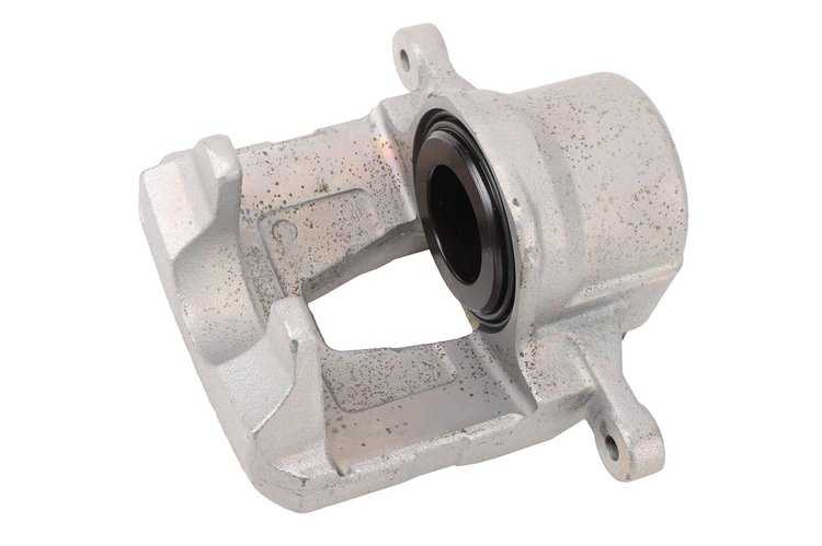 CALIPER SLP-1 (SLP-1)