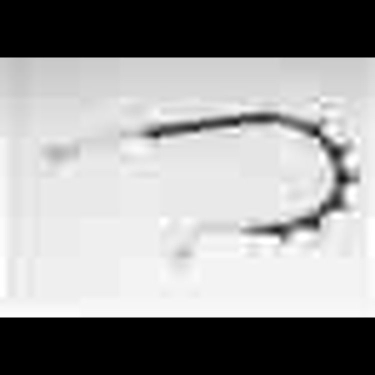 HOSE ASM FRT BRK