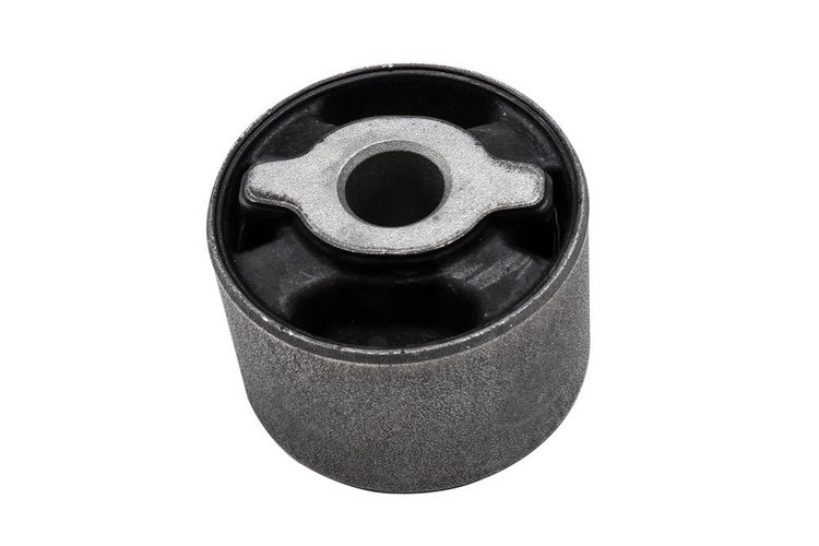 BUSHING-DIFF CA (SLP-1)