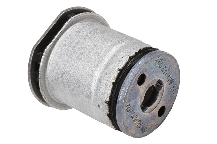 BUSHING ASM-DIF (SLP-1)