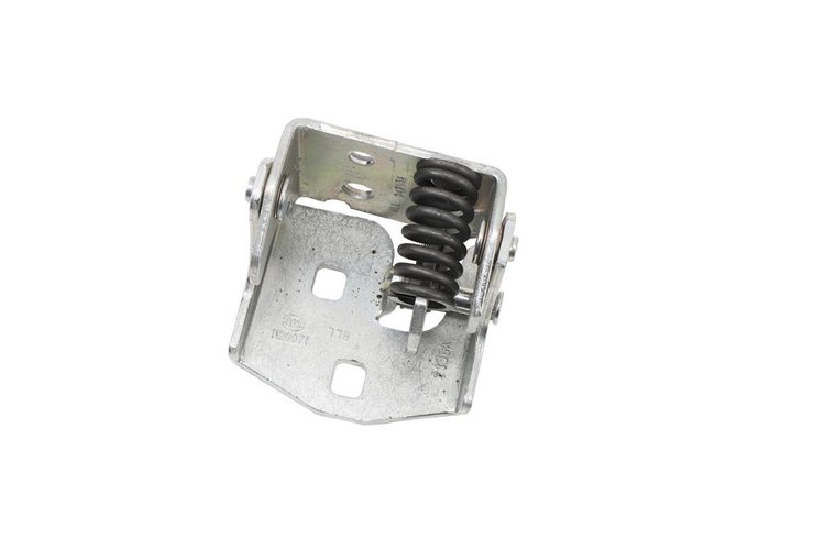 HINGE ASM-RR S/D LW (P1)