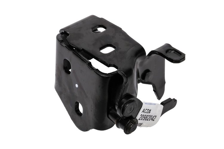HINGE ASM-FRT S/D L (P1)