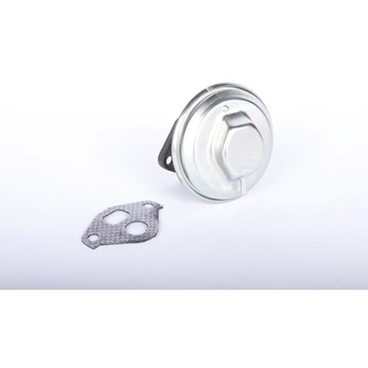 VALVE KIT EGR