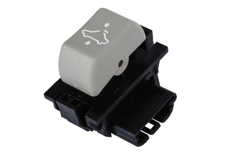 SWITCH ASMSUN R (SLP-P1)