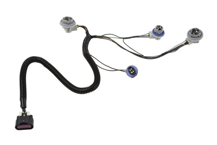 HARNESS ASM T LP WRG