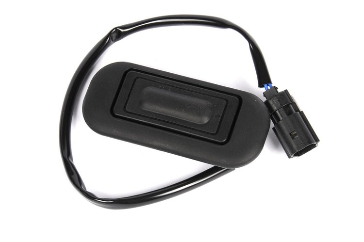 SWITCH ASM-L/GATE REL
