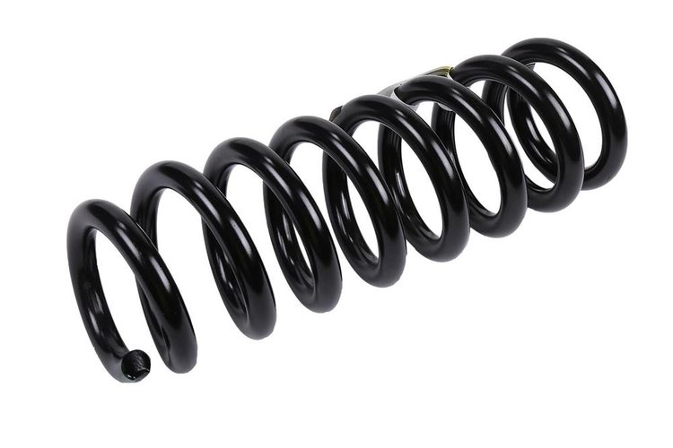 SPRING ASM-FRT COIL (B)