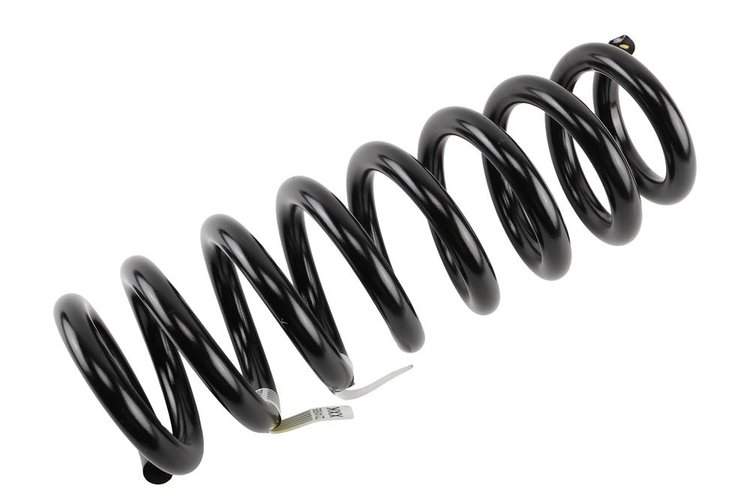 SPRING ASM-FRT COIL (B)