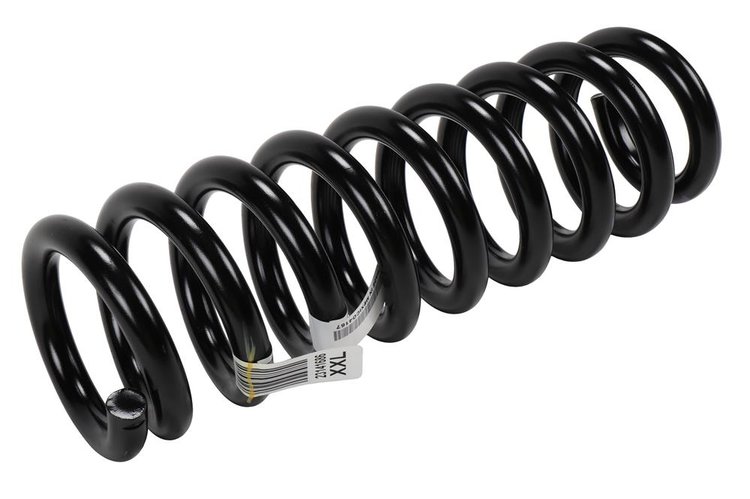 SPRING ASM-FRT COIL (A)