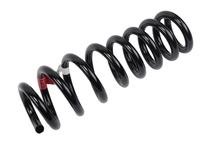 SPRING-RR COIL (B)