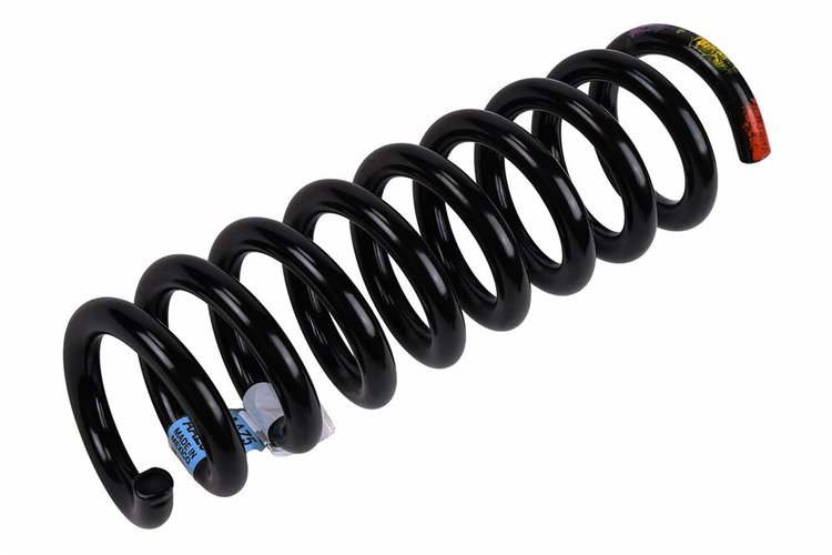 SPRING-RR COIL (B)