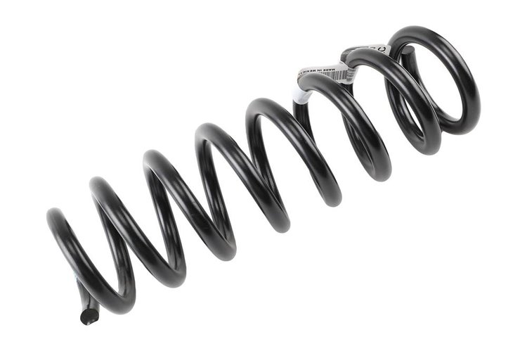 SPRING-FRT COIL (B)