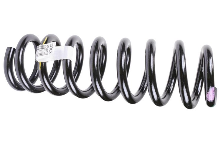 SPRING-FRT COIL (B)