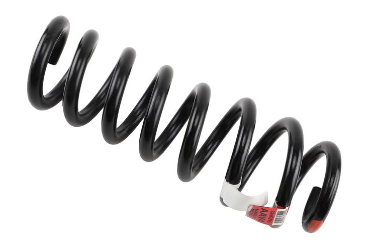 SPRING-RR COIL (B)
