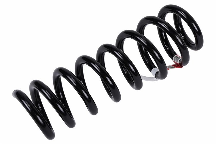 SPRING-RR COIL (B)