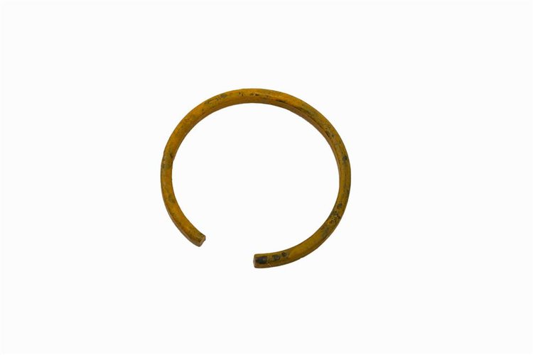 RING-FRT WHL DR (SLP-1)