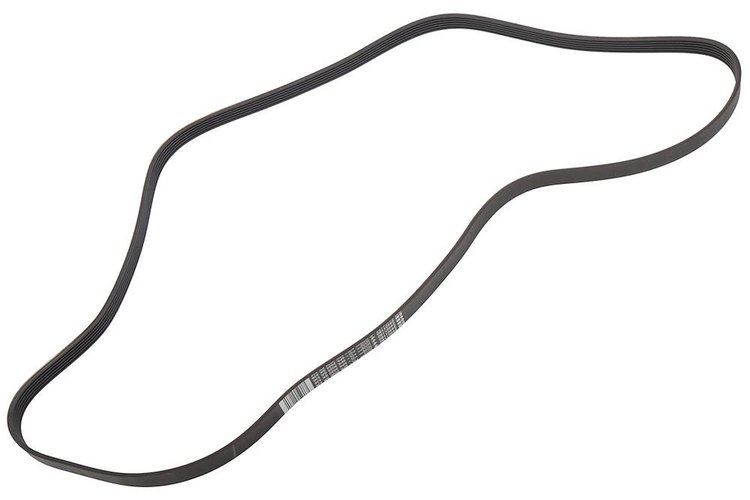 BELTGEN (SLP-P1)