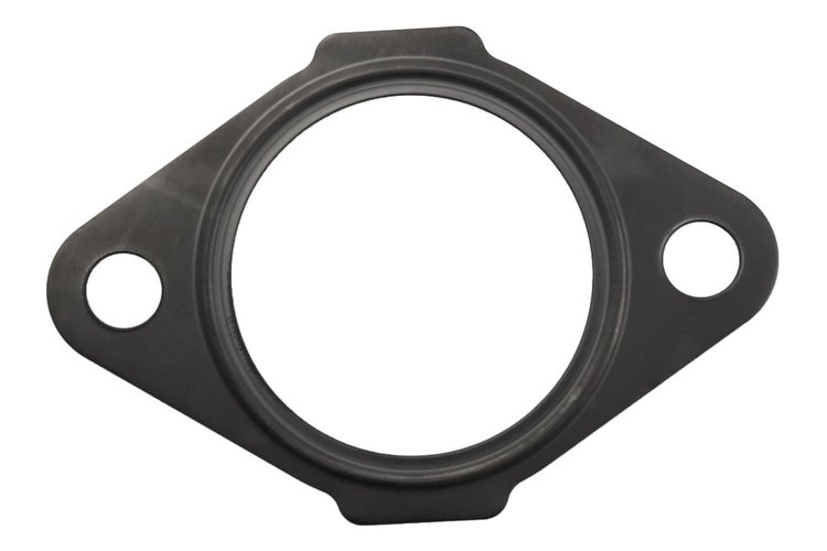GASKET W/PMP
