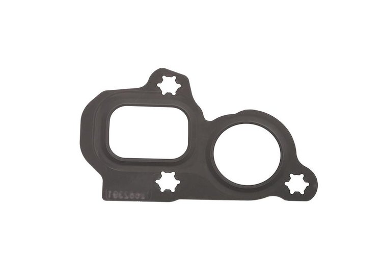 Water Pump Gask (SLP)
