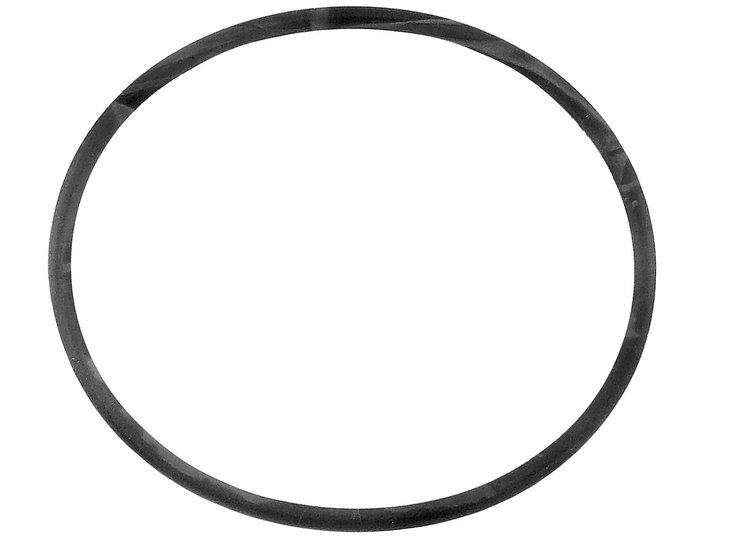 SEAL W/PMP O RING
