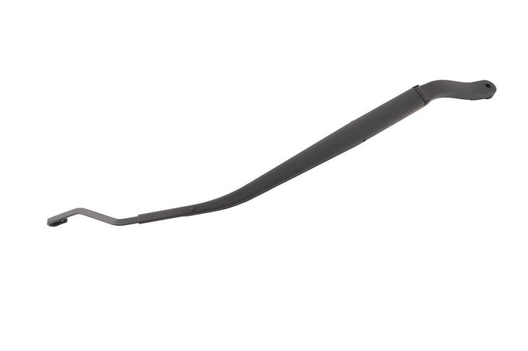 ARM-WSW (SLP-1)