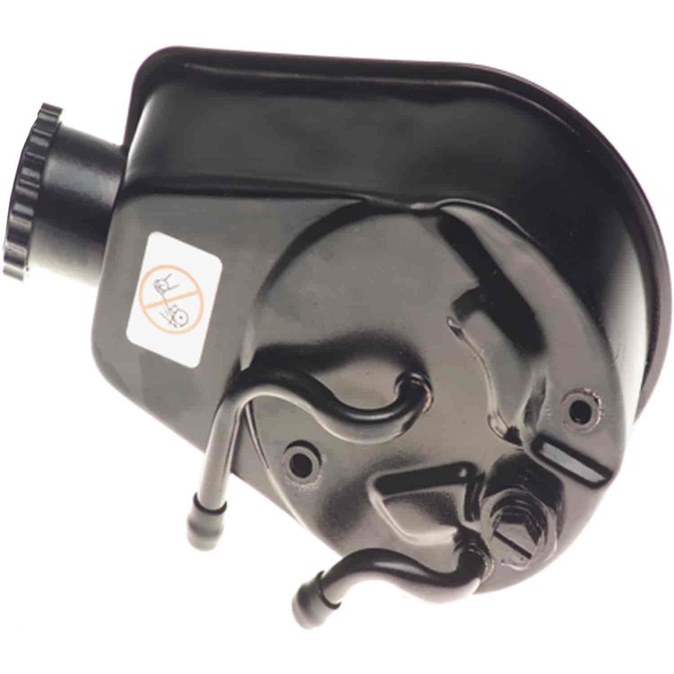 PUMP ASMP/S REMAN